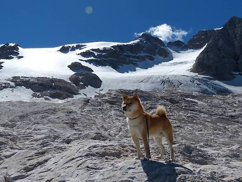国家冬奥备战组公布运动队最新医疗保障安排，2022年冬奥会医疗保障人员