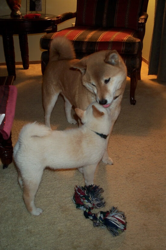 国际足球巨星加盟中超引发热议,国际足球巨星加盟中超引发热议的原因