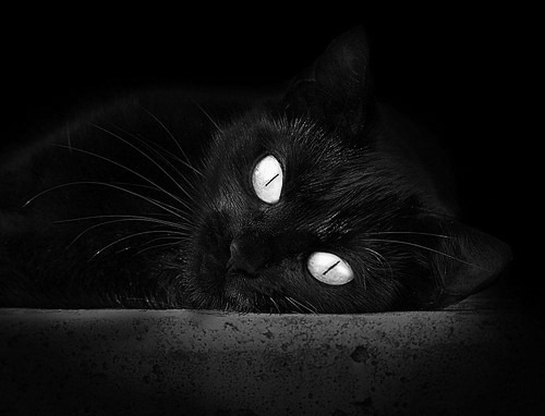 沃尔什夺金背后训练片段曝光,沃尔精彩集锦